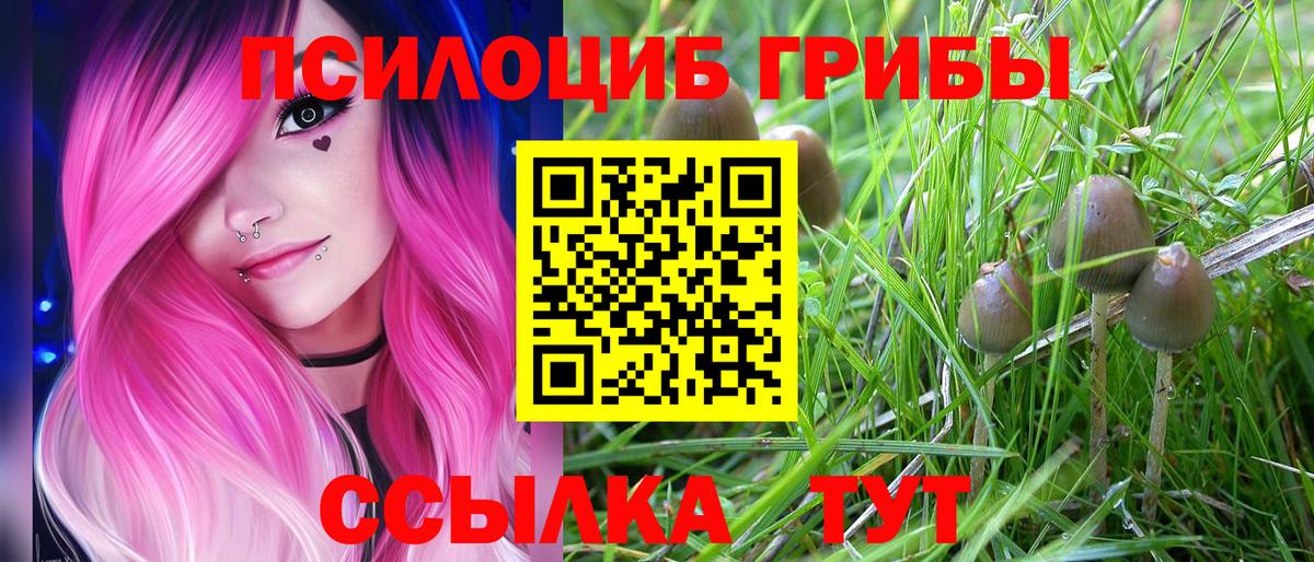 Псилоцибиновые грибы MAGIC MUSHROOMS Избербаш